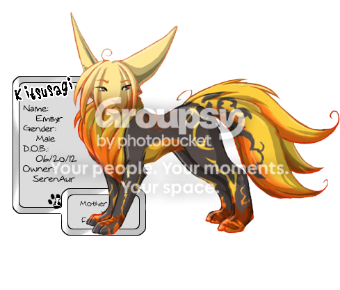 User Image